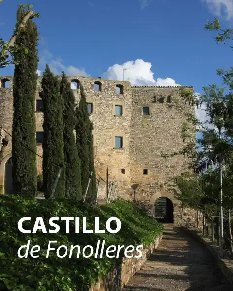 Castle in Spain for sale, Video May 2025